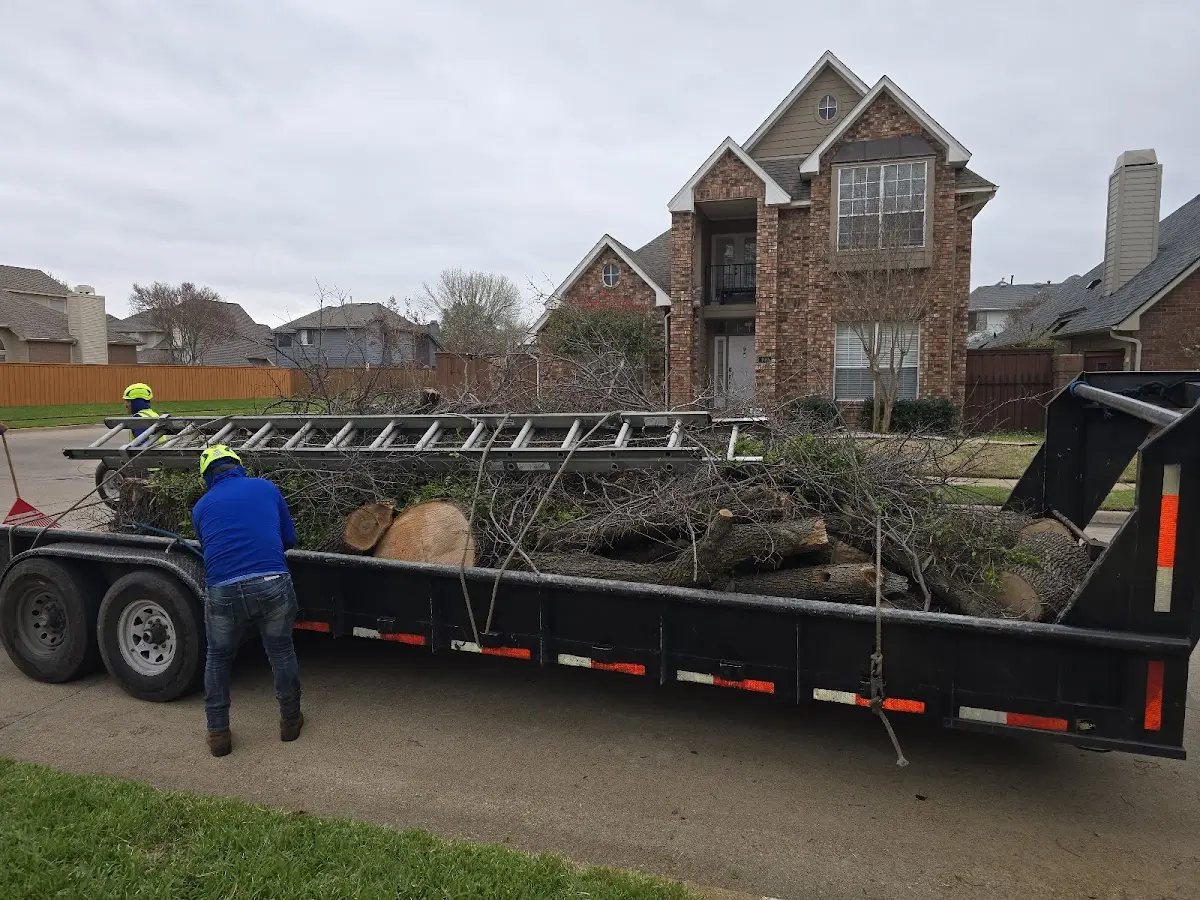 Expert Tree Fertilization with proper safety equipment in Townville